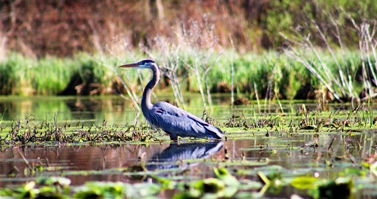 Everything You Can Do in Waterloo Recreation Area